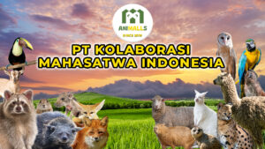 memelihara hewan eksotis