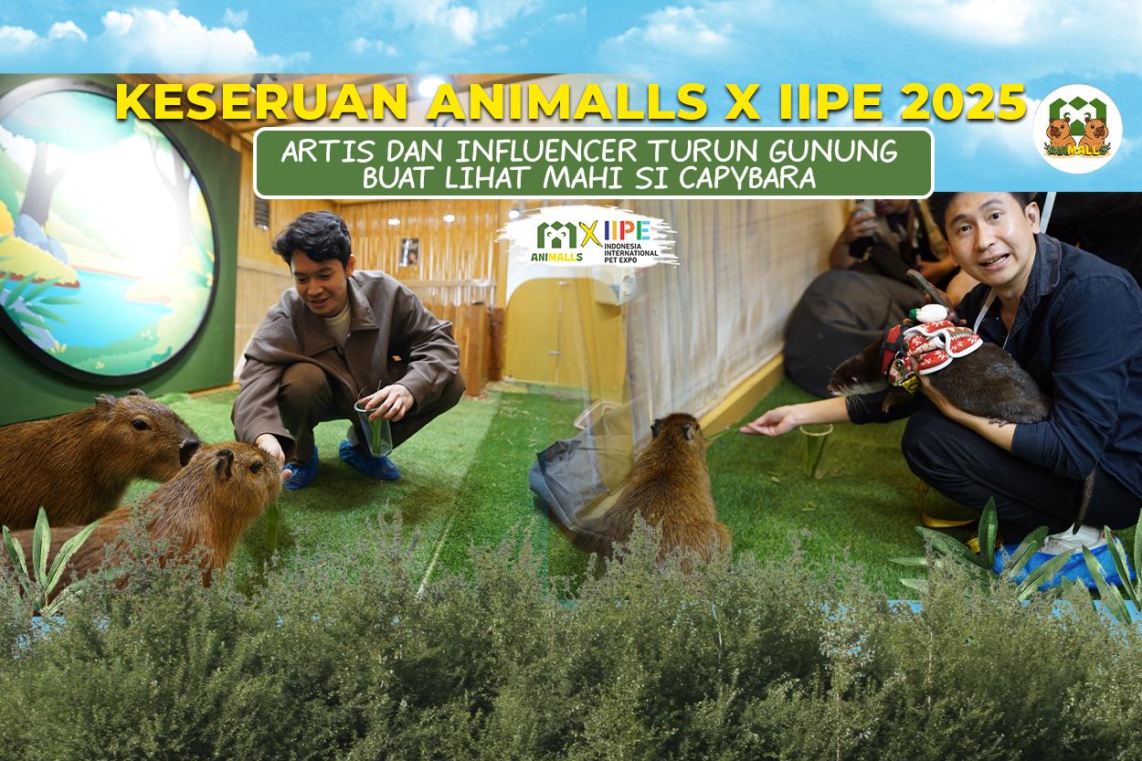 animalls x iipe 2025