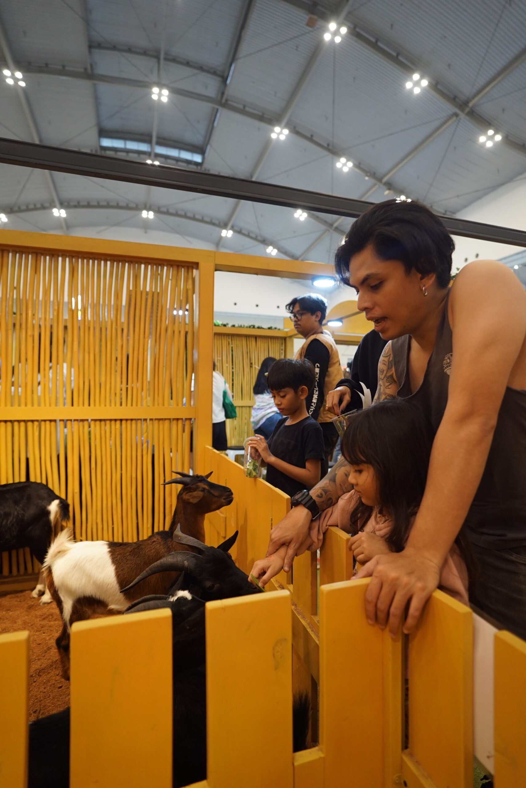 animalls x iipe 2025