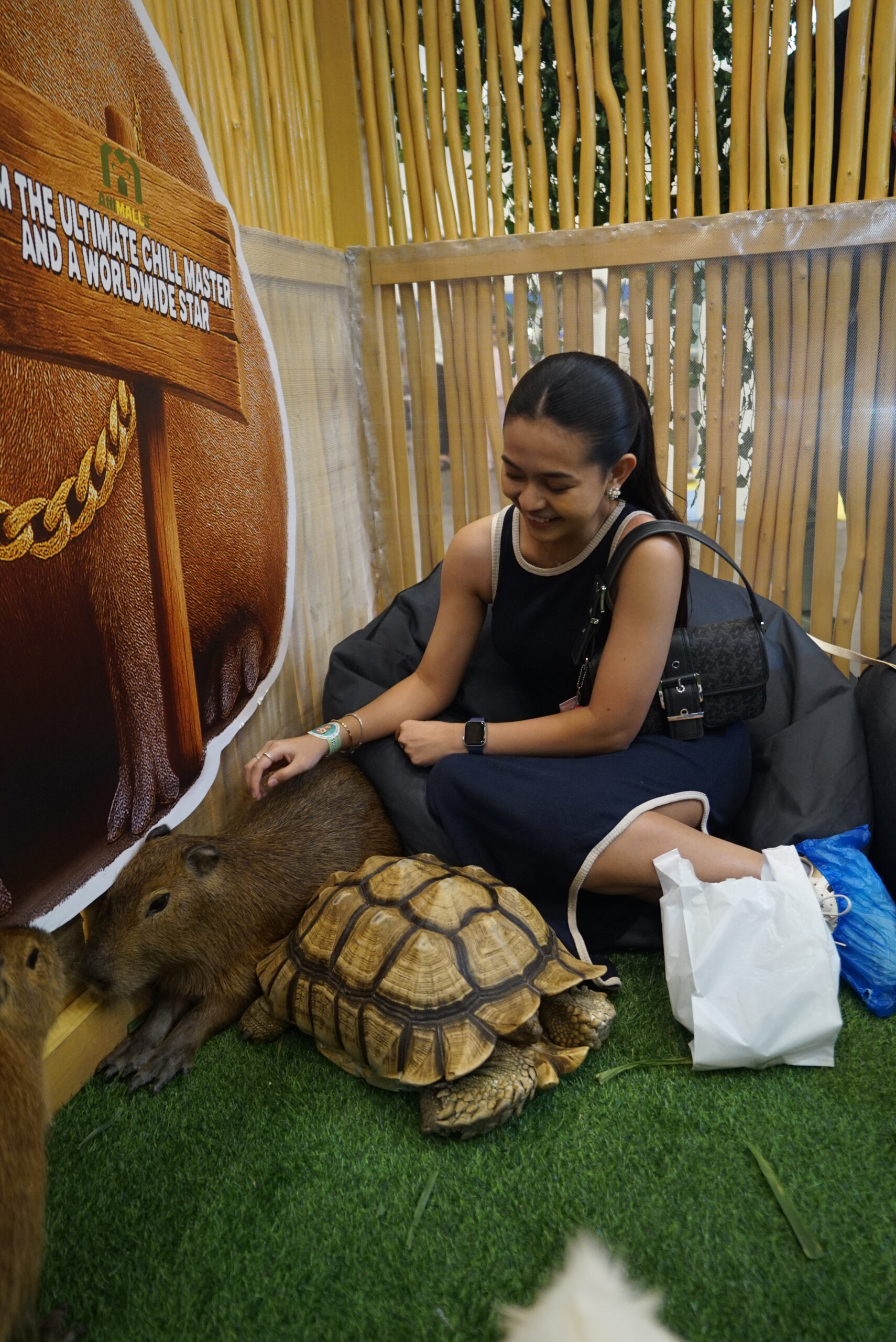 animalls x iipe 2025