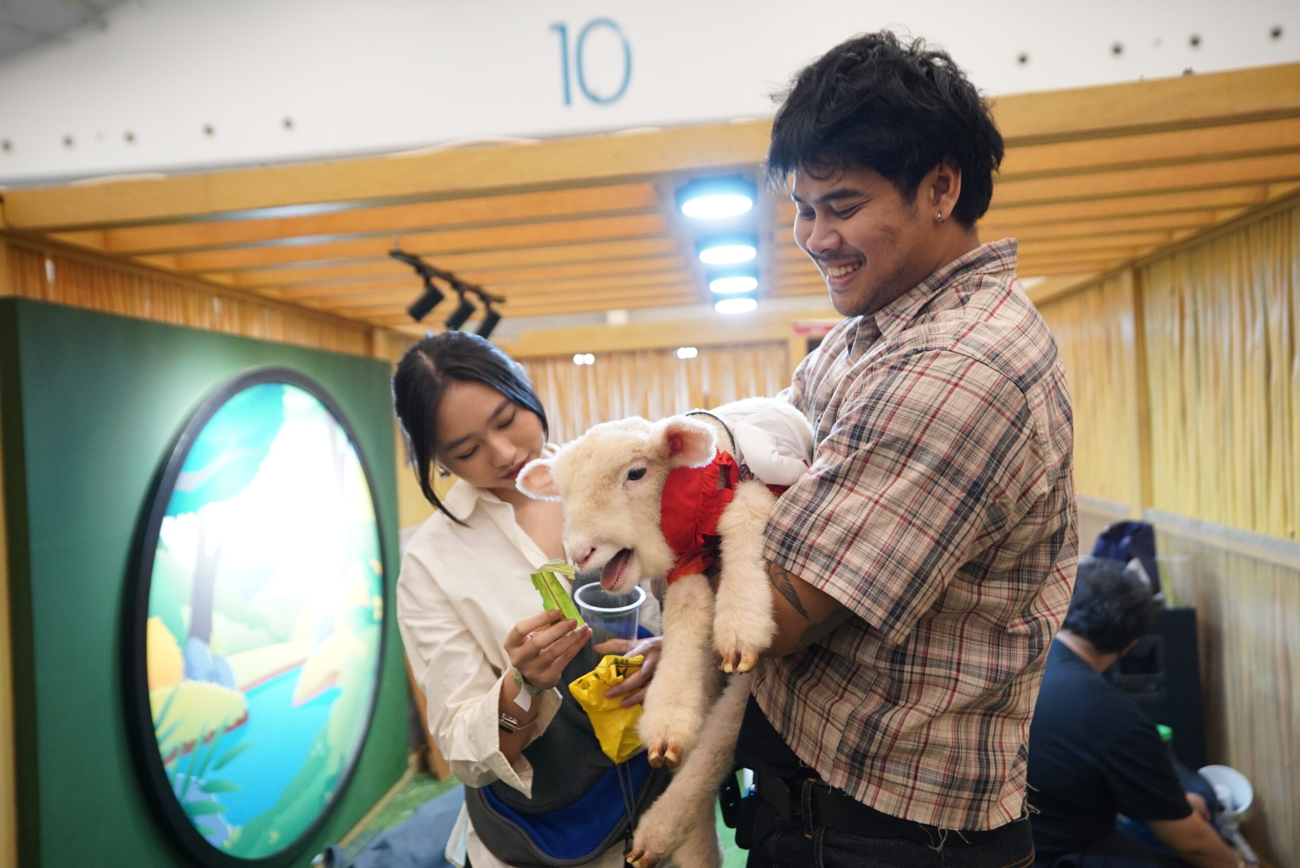 animalls x iipe 2025