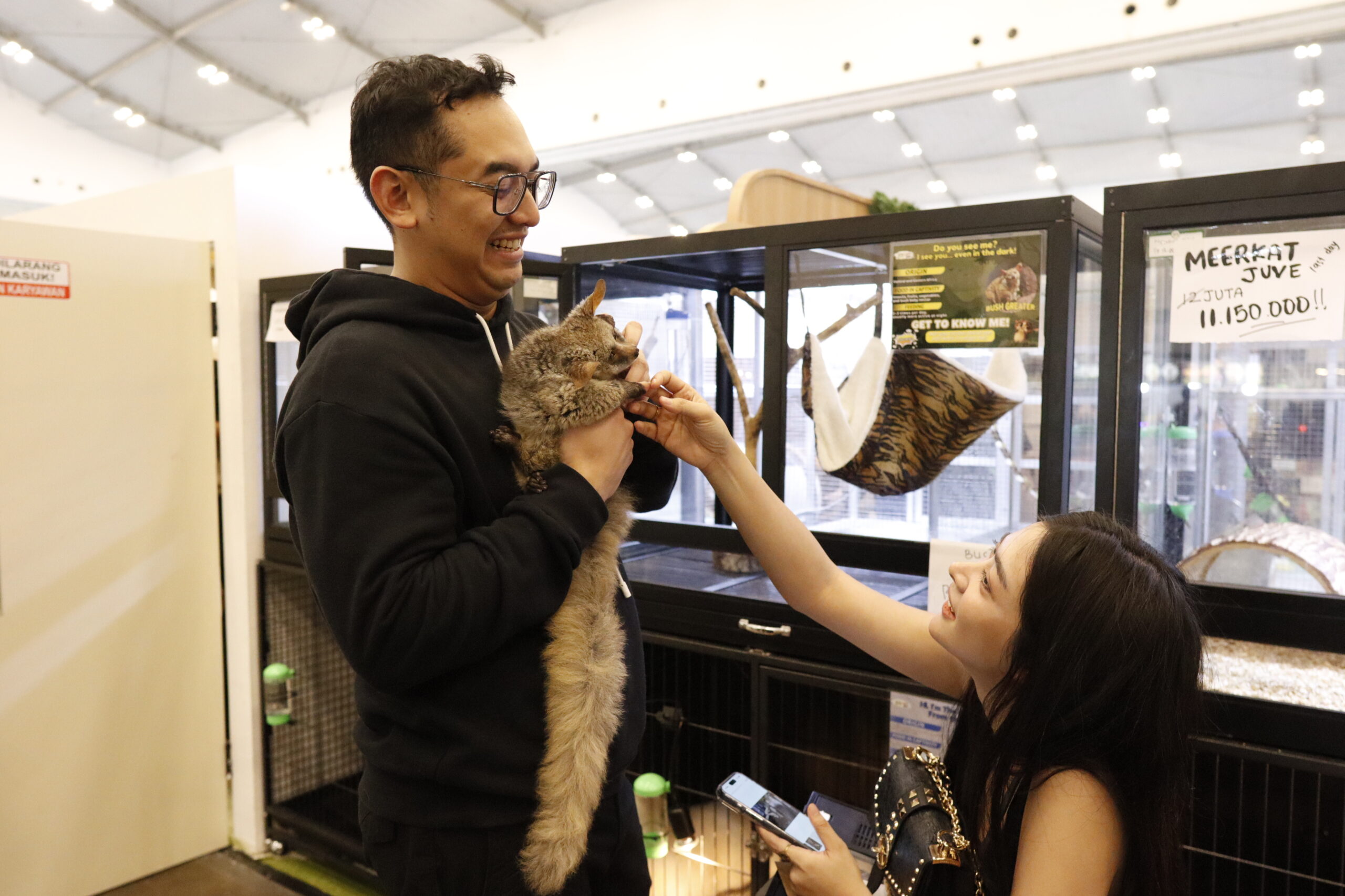 animalls x iipe 2025