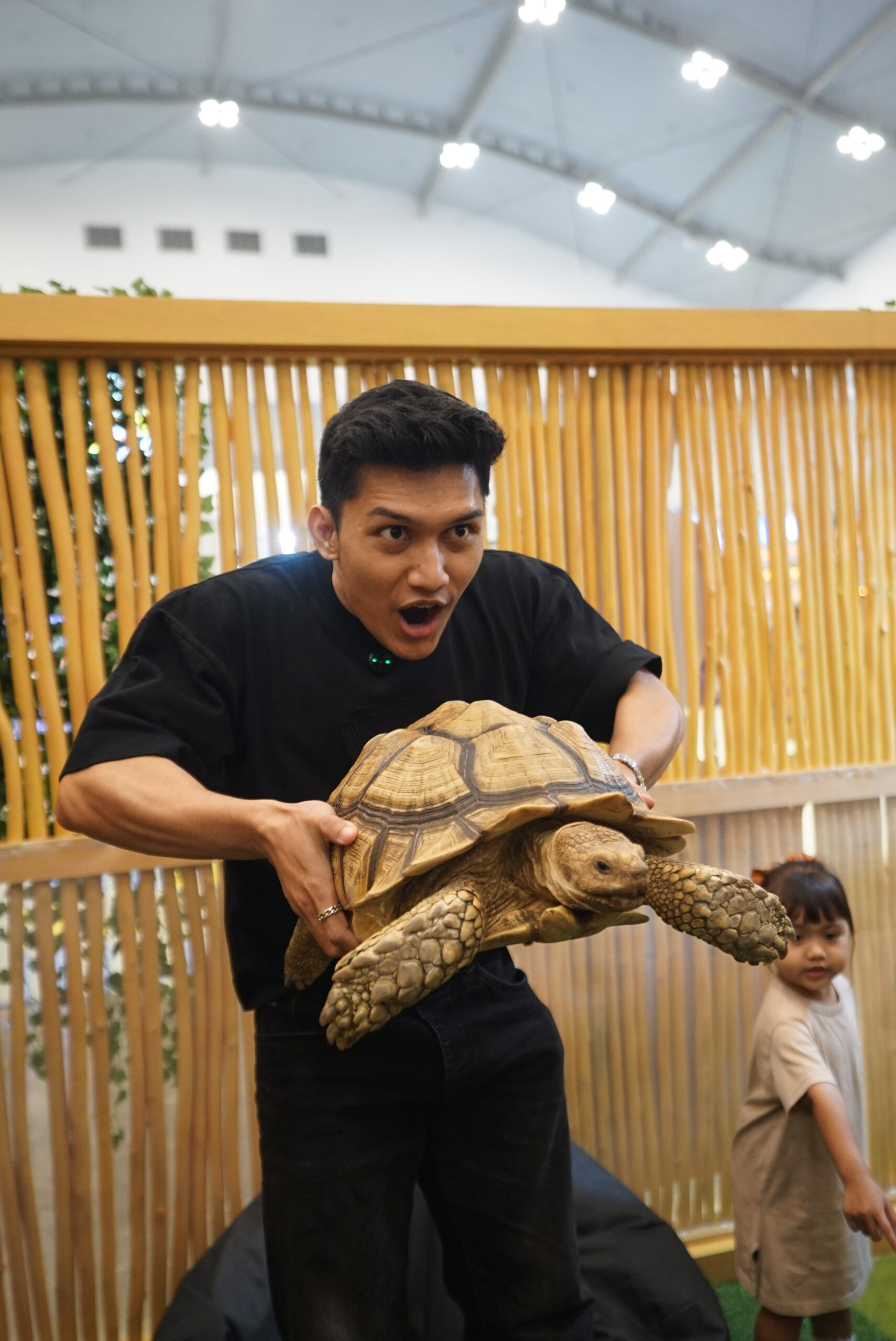 animalls x iipe 2025