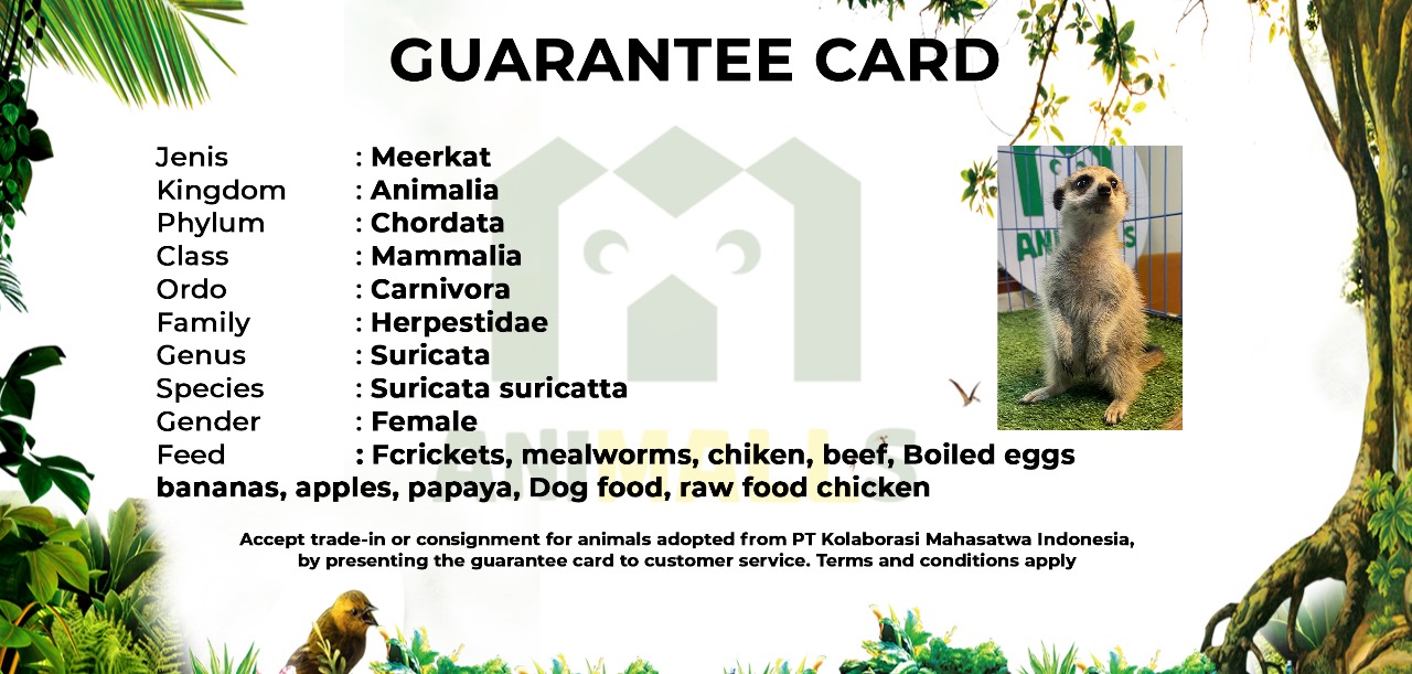 084f6ed361f54fca8238eca365b59399