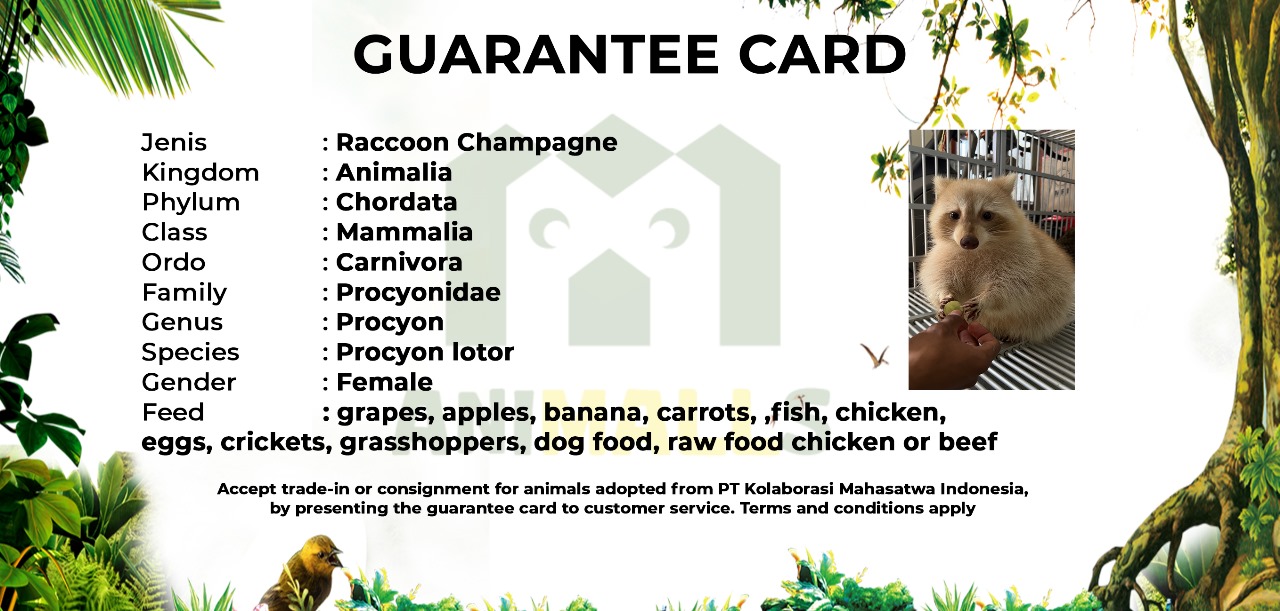 9a59700cea7940499c2796768a6a2014