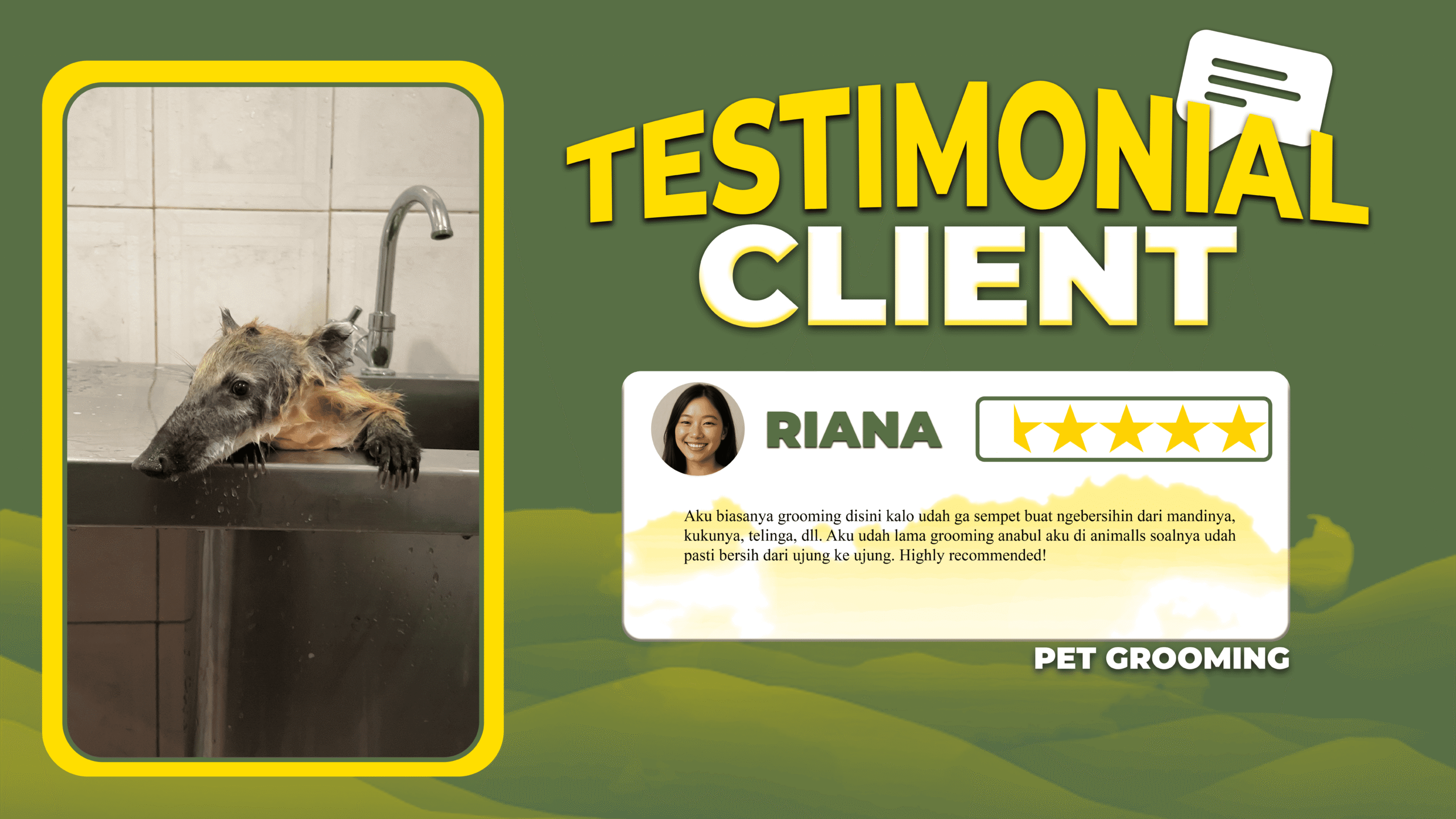 design web PET GROOMING.jpg