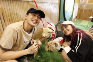 fakta unik pygmy goat